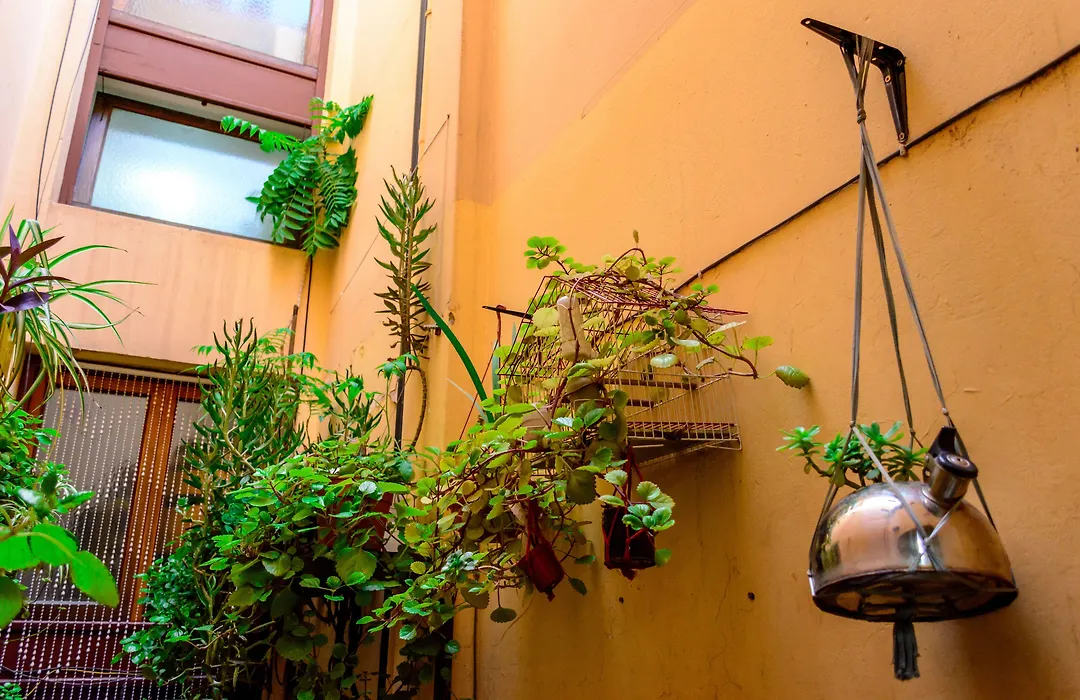 Hostal Confluencia-1